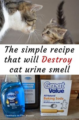 how to get cat pee smell out of furniture and should you ever consider declawing your cat?